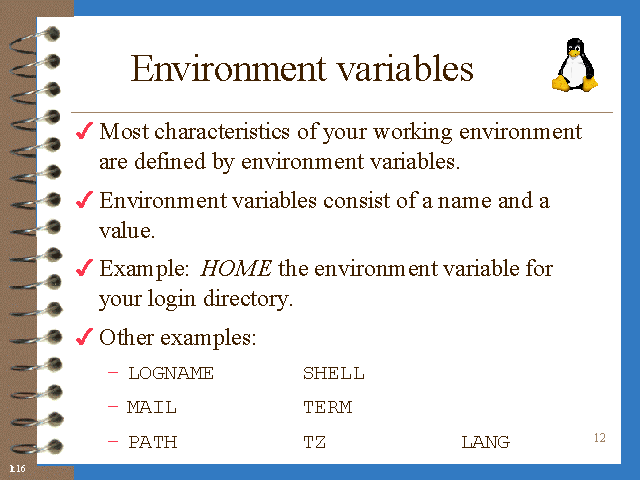 environment-variables